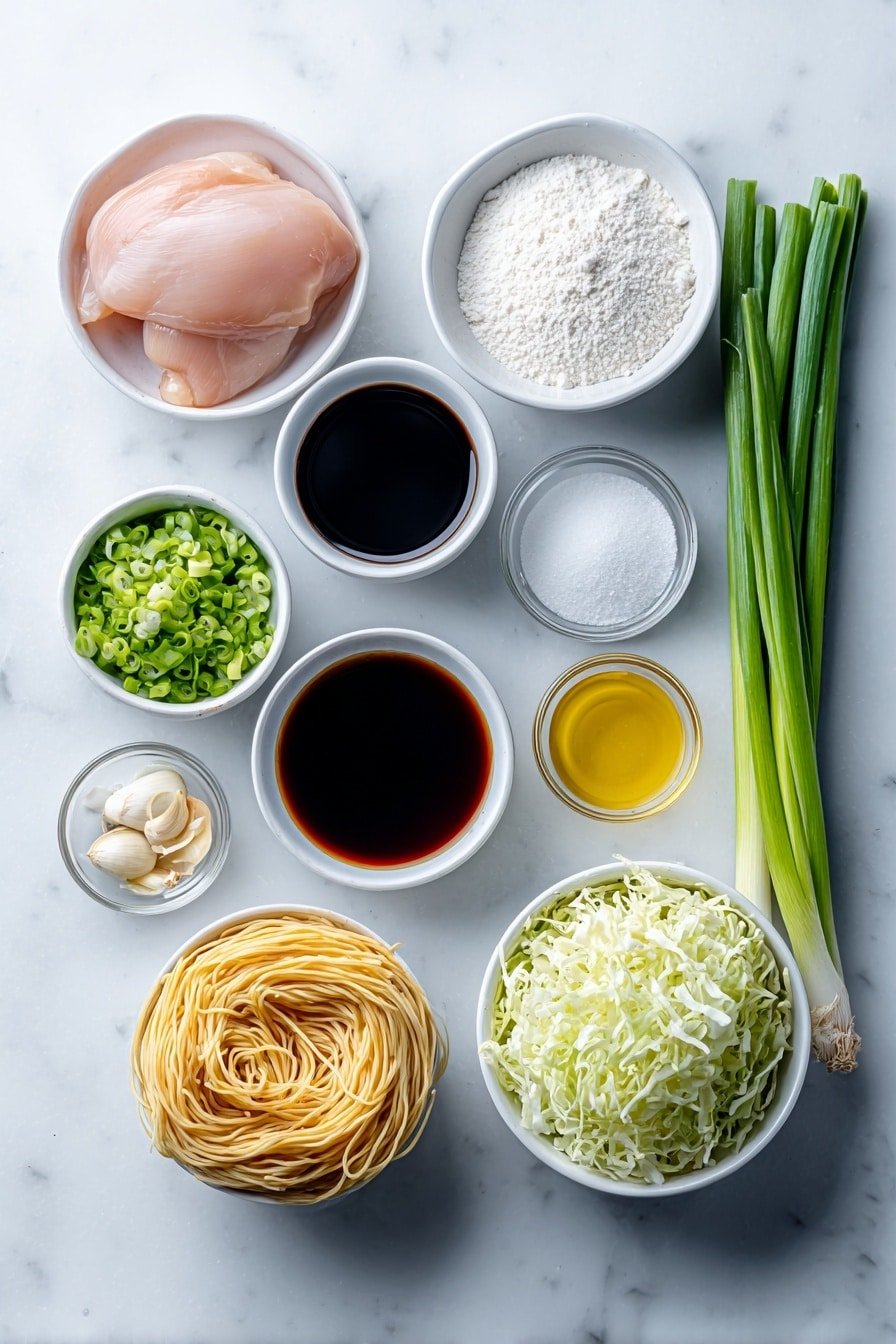 Chicken Chow Mein Recipe - Ingredients Image — Chicken Chow Mein, Asian-inspired stir-fry, quick homemade chicken noodles, easy stir-fry recipe, flavorful chicken noodle dish